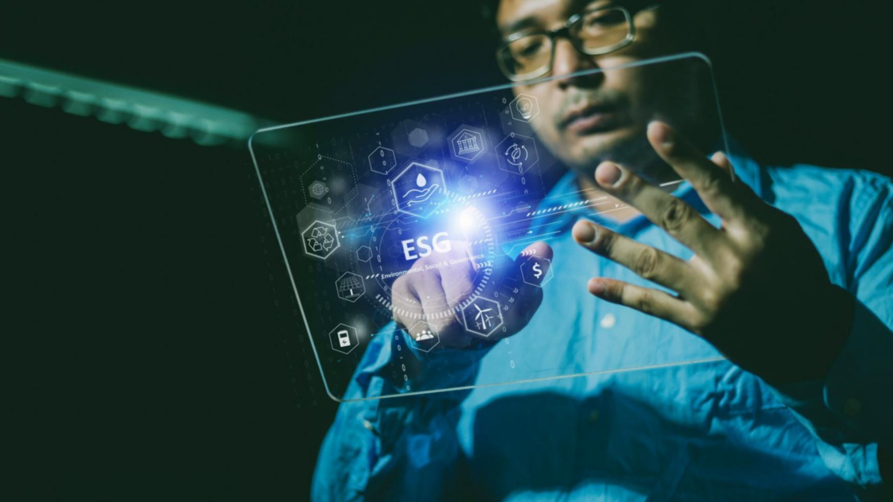 Pelorivante Team bei der Arbeit an technischer Optimierung